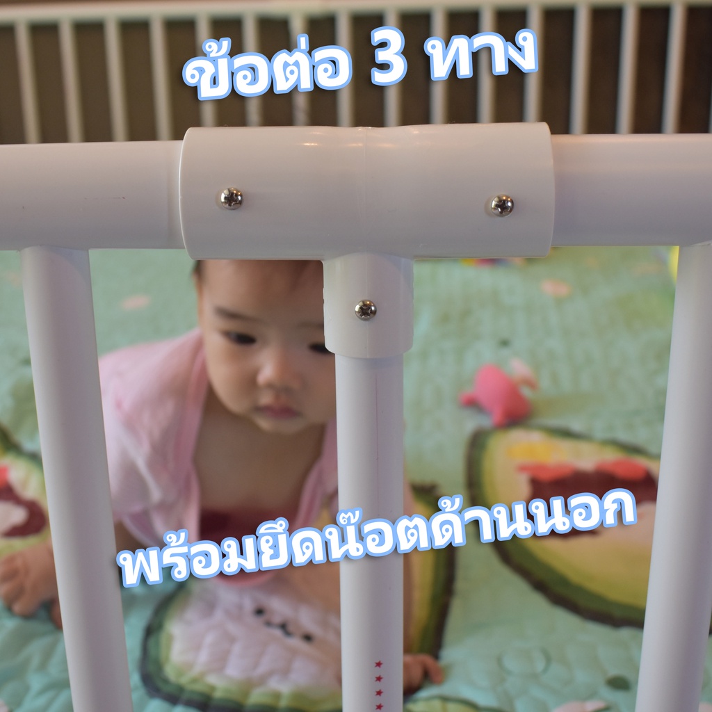 รูปภาพ 8