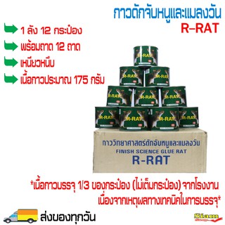 กาวดักหนูและแมลงวัน R-RAT (1 ลัง 12 กระป๋อง + พร้อมถาด 12 ถาด) กาวดักหนูกระป๋อง กาวจับหนู กาวจับแมลงวัน