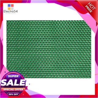 พรมดักฝุ่น WORM 60X90ซม.#BM-102BWORM DUSTMAT 60X90CM#BM-102B