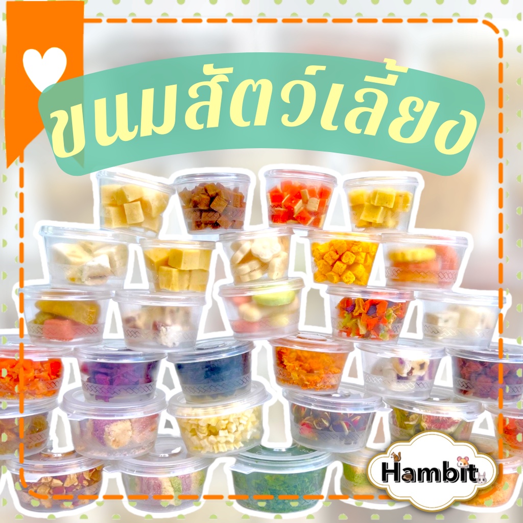 Hambit. อาหารแฮมเตอร์ อาหารชูการ์ กะรอก ดอร์เม้าท์ ใจเเอ้นท์ ขนมแฮมเตอร์ เม่นแคระ สัตว์ฟันเเทะอื่นๆๆ กระปุกทดลอง
