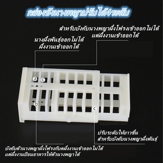 กล่องนางพญาผึ้ง ผึ้งพันธุ์ ผึ้งโฟรงปรับได้ 4 ระดับ กล่องขังนางพญา เลี้ยงผึ้งนางพญา นางพญาผึ้งเลี้ยง ราชินีผึ้ง