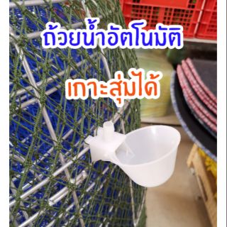 ถ้วยให้น้ำอัตโนมัติ​สีขาว สำหรับ ไก่ นก นกกระทา