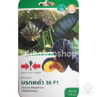 เมล็ดพันธุ์ ฟักทอง มรกตดำ 35 F1