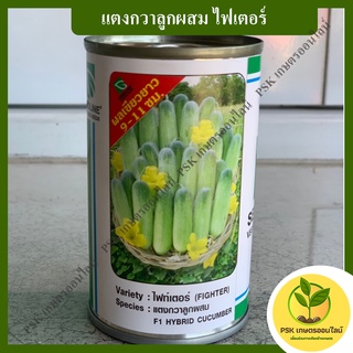 แตงกวาลูกผสม ไฟเตอร์ 20กรัม เมล็ดพันธุ์พืช (PSK เกษตรออนไลน์)