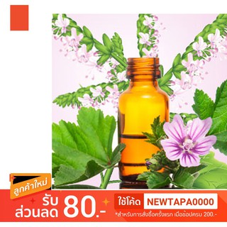 น้ำหอม NG Natures Garden นำเข้าจากอเมริกา กลิ่น  PATCHOULI FRAGRANCE OIL ขนาด 16 ออนซ์