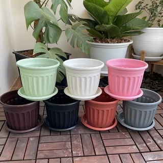 กระถางต้นไม้ โรมัน 8 นิ้ว ((พร้อมส่ง))(ยอดขาย52k++)