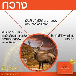 รกกวาง Deer Placental 50,000 mg 100 เม็ดExp.06/2027 จากออสเตรเลีย ชะลอวัย เพื่อผิวพรรณและความงามบรรจุ 100 เม็ด