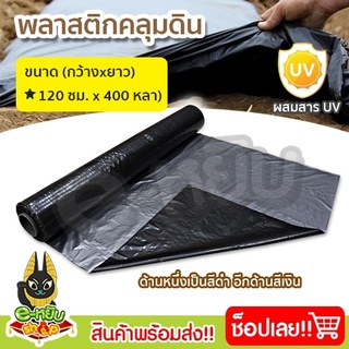 พลาสติกคลุมดิน พลาสติกดำเงิน พลาสติกคลุมแปลง กว้าง120ซม.ยาว400หลา(360เมตร)