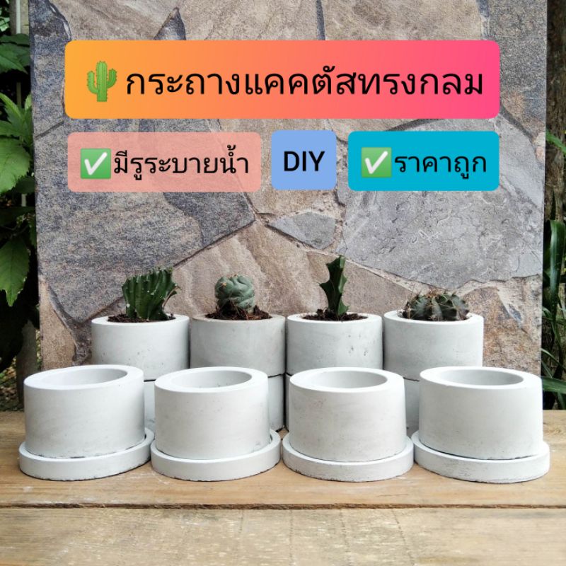 กระถางแคตตัสทรงกลม ขั้นต่ำ3ชิ้น ซื้อ10ชิ้นแถมฟรี1ชิ้น