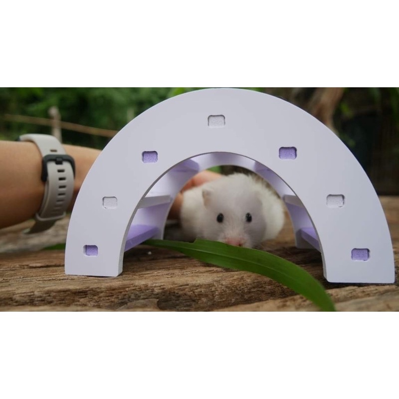 Animal KOKO สะพานโค้ง ขนาดกลาง ของ สัตว์เลี้ยง พร้อมจัดส่ง รูปที่ 7