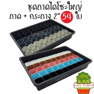 สินค้าขายดี!!! ถาดไดโซะพร้อมฝาครอบ กระถาง 2นิ้ว ฝาครอบเพาะเมล็ด ถาดไดโซะ ถาดไดโซะไม่มีรู เพาะเมล็ด