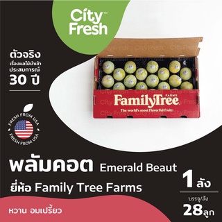 CityFresh (ยกลัง)ลูกไหนหยก พลัมคอต Emerald Beaut  ผลไม้นำเข้า