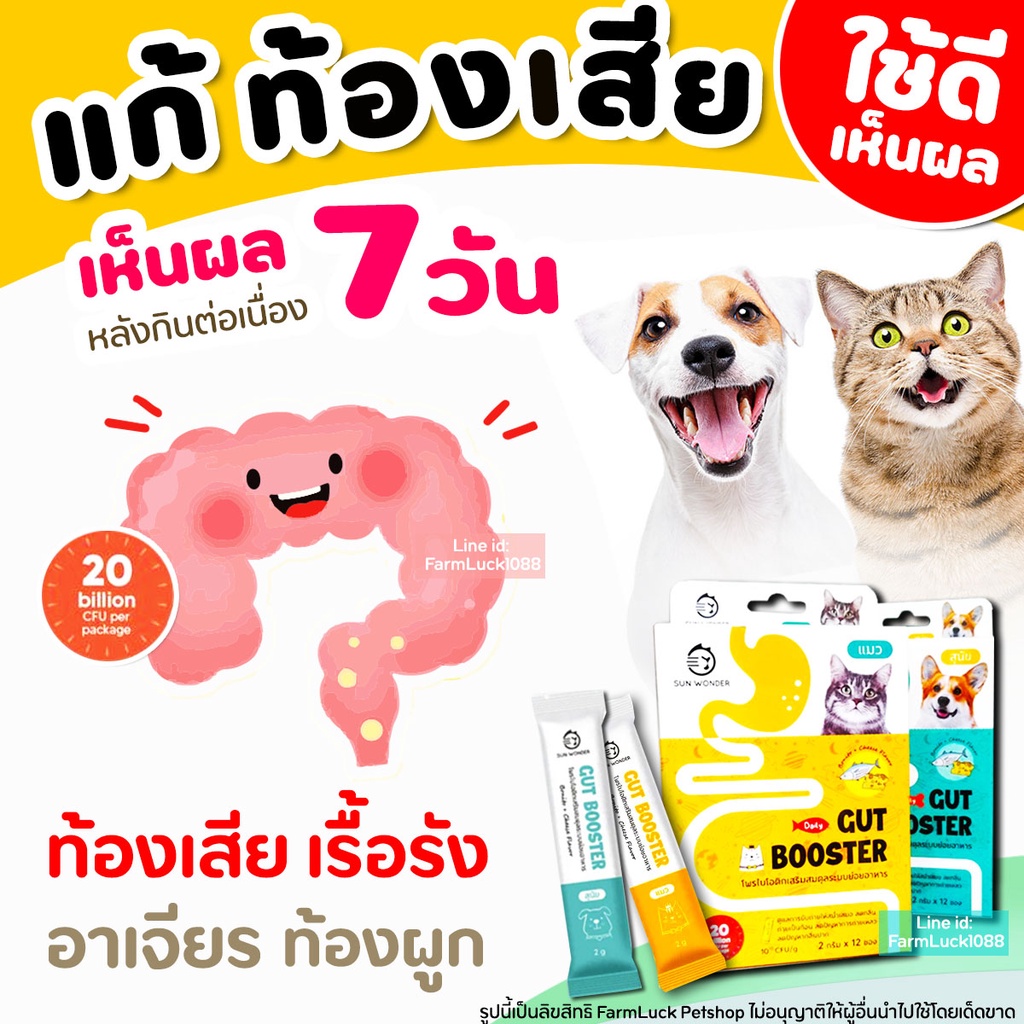 Gut Booster โพรไบโอติก แมว หมา แก้ท้องเสีย ท้องผูก ท้องอืด ลำไส้อักเสบเรื้อรัง ระบบย่อยมีปัญหา Probiotic by Sun wonder