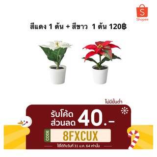 [พร้อมส่ง ซื้อคู่ถูกกว่า] ต้นคริสต์มาส (ไม้ประดับ ต้นไม้ปลอม)