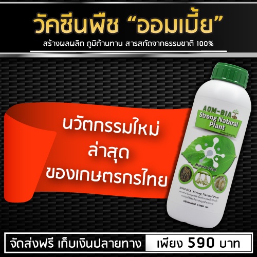 วัคซีนพืช "ออมเบี้ย" สร้างผลผลิต พืชแข็งแรง สารสกัดจากธรรมชาติ 100% (A1)