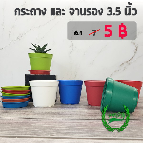 กระถางต้นไม้ และ จานรอง กระถางต้นไม้พลาสติก 3.5 นิ้ว สูง 3 นิ้ว