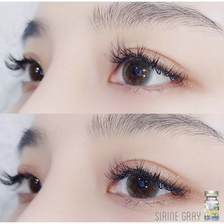 🔥 คอนแทคเลนส์ ✨ขนาดมินิ ✨Gray✨Sirine (beautylens)