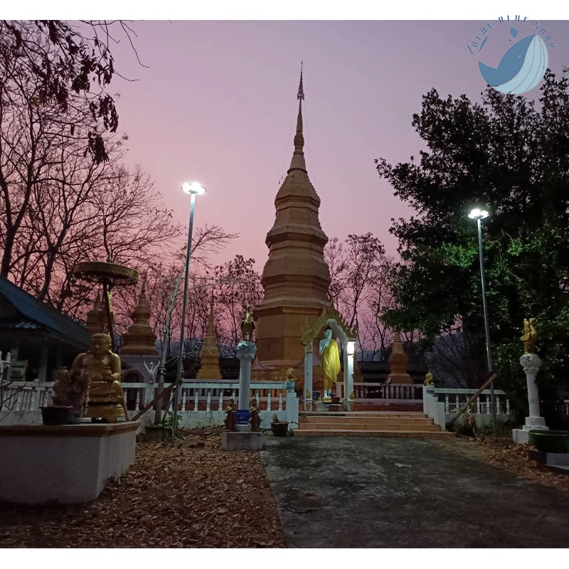 ไฟ led ufo UFO Solar light โคมไฟโซล่าเซลล์ โคมถนนโซล่าเซลล์ แบตอึด สว่างยันเช้า มีให้เลือกหลายรุ่น - รูปที่ 7