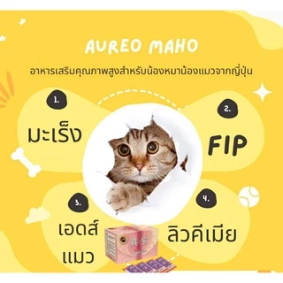มะโฮ (Maho) ของแท้100% เบต้ากลูแคน จากญี่ปุ่น เสริมภูมิคุ้มกัน ลดการอักเสบในร่างกาย สำหรับหมา แมว ทานง่าย ดูดซึมเร็ว
