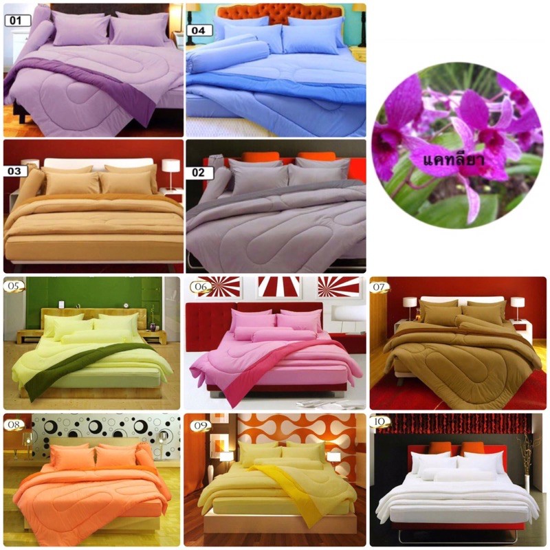 Fair Lady ผ้าปูพร้อมผ้านวม 5ฟุต 6ฟุต Fair Ladyสีพื้นและลายหนา 10 นิ้ว S 01 02 03 04 05 06 07 09 10