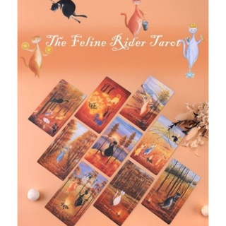 ไพ่ทาโรต์ ไพ่ยิปซี ไพ่ออราเคิล TAROT ORACLE CARDS :  THE FELINE RIDER TAROT DECK ใหม่ ของแท้ 100%