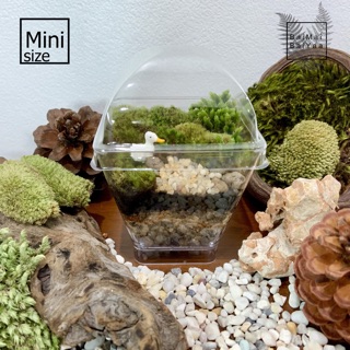 ชุดจัดสวนขวดถ้วยพลาสติก DIY Size Mini ถ้วยเหลี่ยม สำหรับฝึกหัดจัดสวนขวด