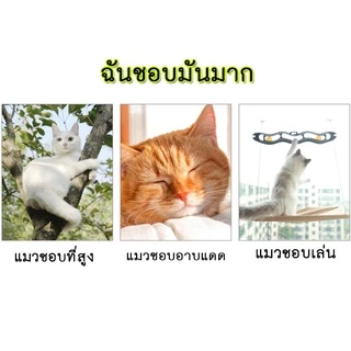 PP-108 เปลแมวติดกระจก ขนาดใหญ่ 55x35 ซม. รองรับน้ำหนักได้ถึง 15 กก. ที่นอนแมวสีพาสเทล เหมาะสำหรับเป็นบ้านพักน้องแมว