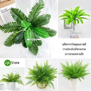 ช่อเฟิร์นหลากชนิด ต้นไม้ประดิษฐ์ สวยงามเสมือนจริง (พร้อมส่งในไทย ถึงเร็วทันใจ)