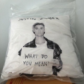 EXCLUSIVE Justin Bieber cushion (เป็นปลอกหมอน มีซิปถอดออกได้)