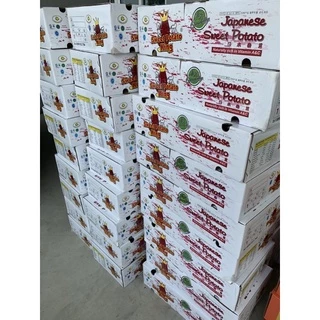 พร้อมส่ง‼️1KG มันหวานญี่ปุ่นสด เบนิฮารุกะปลูกเวียดนาม sweet potato