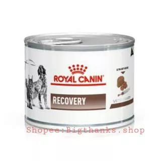 (( 1 กป.)) Royal canin Recovery 195 g. สำหรับ สุนัขแมว สัตว์ป่วยพักฟื้น exp 04/27