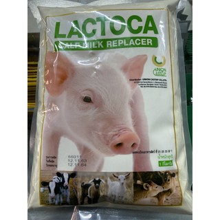 🍼นมผงแลคโตคา(LACTOCA)🍼สำหรับสัตว์ขนาด1kg