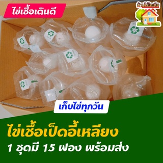 ไข่เชื้อเป็ดอี้เหลียง สำหรับการฟัก 15 ฟอง