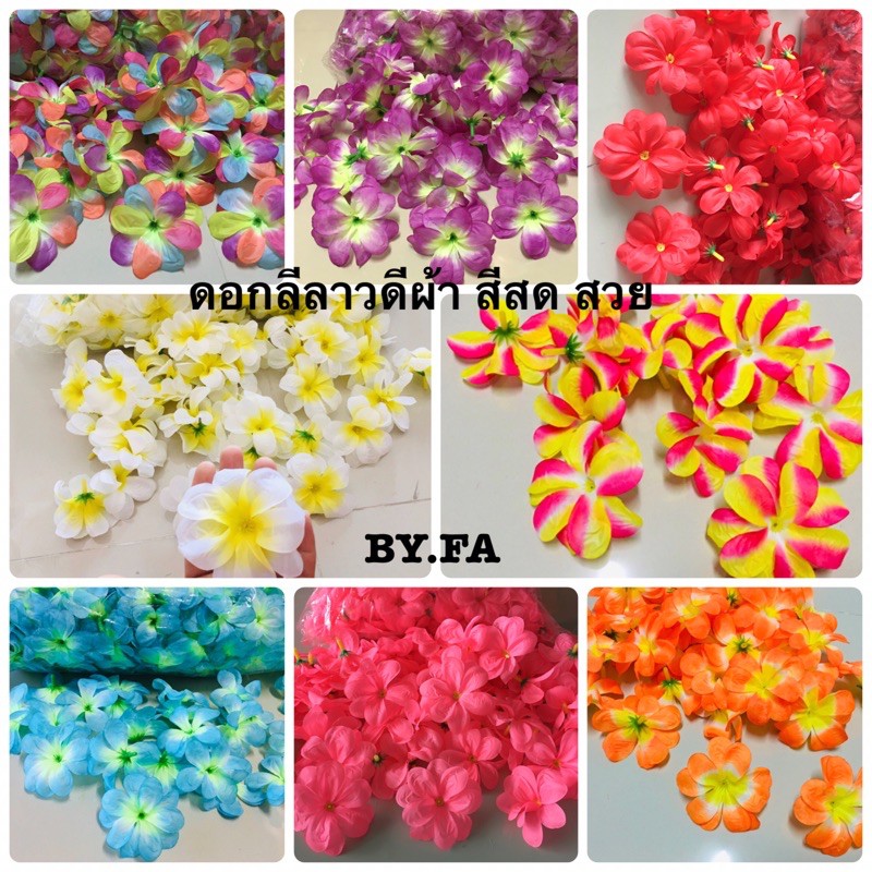 ดอกลีลาวดี ฮาวาย หัวดอกลีลาวดี100ดอก/ถุง No.032