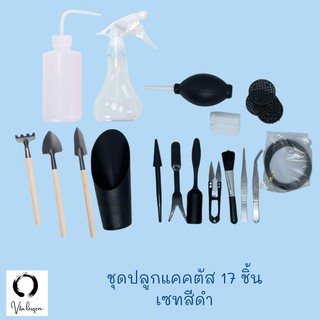 🌿 เซ็ต17 ชิ้น /อุปกรณ์ปลูกแคคตัส ชุดปลูกแคคตัส กระบองเพชร พืชอวบน้ำ กุหลาบหิน 🌿