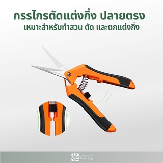 Trimming scissors กรรไกรตัดแต่งกิ่งไม้ กรรไกรตัดสมุนไพร กรรไกรตัดพืช กรรไกรทริม (ปลายตรง)