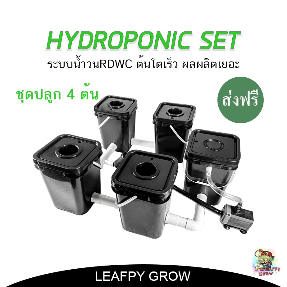 🔥แนะนำ! ดีจริง!🔥ราคาสุดคุ้ม ชุดปลูกไฮโดรโปรนิกส์ 4 ต้น ระบะRDWC ต้นโตเร็ว ผลผลิตเพิ่มขึ้น Hydroponic