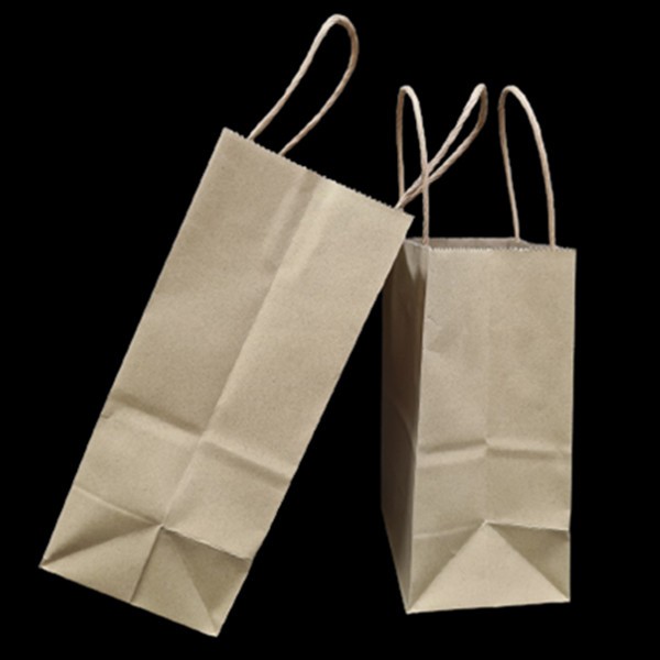 (1 ใบ) ถุงกระดาษพร้อมหูหิ้วแบบเกลียว