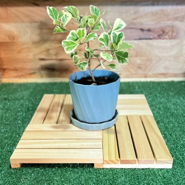BS21-1 ไม้พาเลท รองกระถางต้นไม้ แบบซี่ ต้นกระบองเพชร ต้นไม้ด่าง สิ่งของโชว์ต่างๆ ขนาดกxยxส15x20x2.4cm. - รูปที่ 7