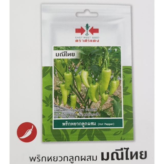 เมล็ดพริกหยวก มณีไทย 40เมล็ด ตราศรแดง