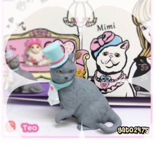 Mary’s Favorite Cat มี Teo พร้อมส่ง๏る