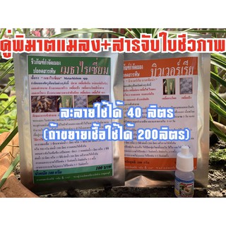 เซตคู่กำจัดแมลง+สารจับใบ ,บิวเวอ+เมธา+สปีดเทค+(100กรัม+100กรัม+5cc. ละลายใช้ได้ 40 ลิตร) กำจัดเพลี้ย ด้วง แมลงหวี่ ไรแดง