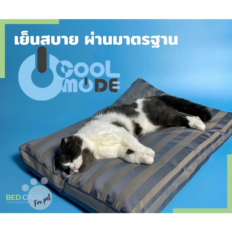 Bed Care For Pet (เฉพาะปลอก) เบาะนอนสัตว์เลี้ยง สัมผัสเย็น ป้องกันไรฝุ่น ไม่ติดขน รุ่นธรรมดา สีน้ำเงิน ส่งฟรี  