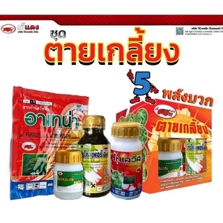 ตายเกลี้ยง ตราเข้แดง กำจัดวัชพืชในนาข้าว ง หญ้าตาย เกลี้ยงนา