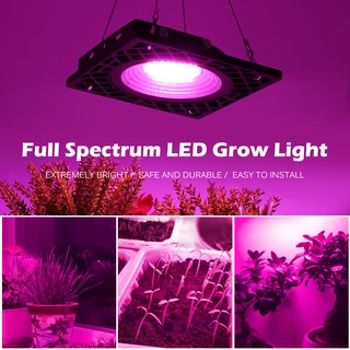 XPL 220V Full Spectrum LED Grow Light 50W ไฟปลุกต้นไม้ ไฟช่วยต้นไม้โตเร็ว