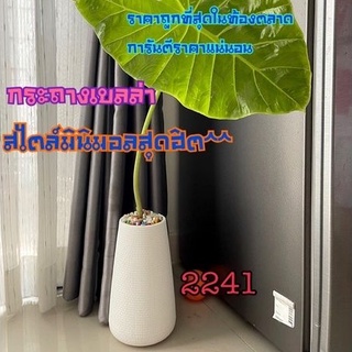 (ของแท้ โปรแรง) กระถางต้นไม้มินิมอล2241N กระถางเบลล่า สไตล์มินิมอล ทรงสูง สไตล์โมเดิร์น พลาสติกเกรด A  รุ่นสูง 11นิ้ว