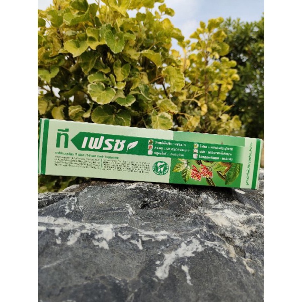 ยาสีฟันทีเฟรช T-fresh ยาสีฟันสมุนไพร เพื่อสุขภาพที่ดีของช่องปาก