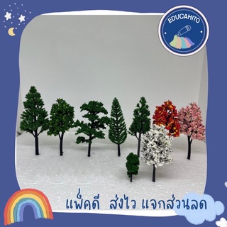 โมเดลต้นไม้ / Tree Models 🌳