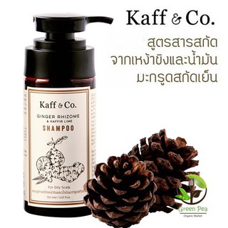 Kaff&amp;Co. แชมพูขิง ผสมน้ำมันมะกรูดสกัดเย็น สำหรับผมร่วง หนังศีรษะมัน  150 / 300 ml.