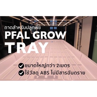 ถาดปลูกพืช วัสดุ ABS ระบบ Hydroponics indoor ขนาด 2เมตร ถาดรองปลูก ถาดปลูกต้นไม้ *สั่งมากกว่า 2 ถาด รบกวนออเดอร์กดใหม่*